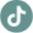 WPORT TikTok icon